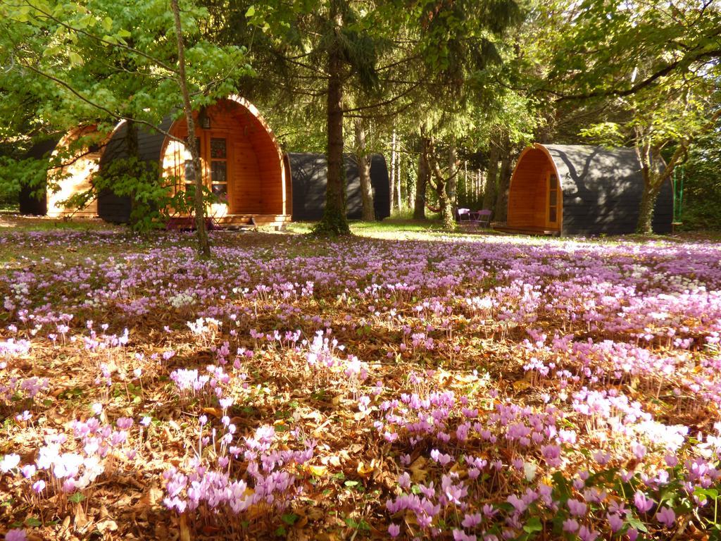La Rossignolerie - Pod Cabanes Des Chateaux Chouzy-sur-Cisse Buitenkant foto