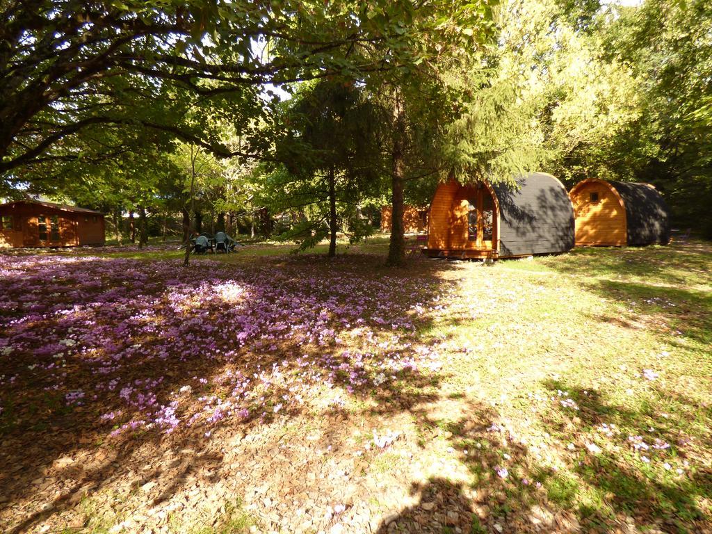 La Rossignolerie - Pod Cabanes Des Chateaux Chouzy-sur-Cisse Buitenkant foto